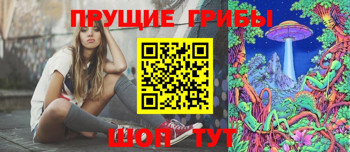 Галлюциногенные грибы Psilocybe Холмск