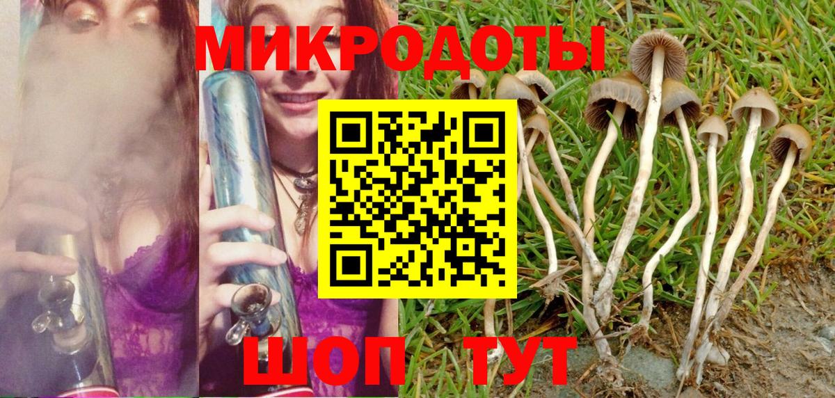Холмск  Галлюциногенные грибы Psilocybe  Вход с VPN  Псилоцибиновые грибы ЛСД 